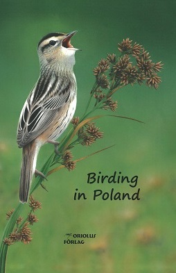 Birding in Poland wodniczka