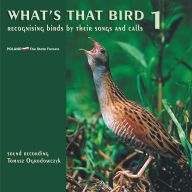 What´s that bird. Recognising birds by their songs and calls.