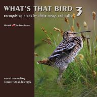 Whats that bird. Recognising birds by their songs and calls. Part 3