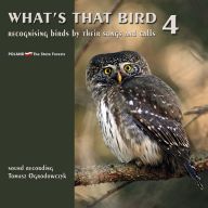 Whats that bird. Recognising birds by their songs and calls. Part 4